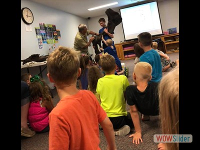 Ely Library Dino Presentation