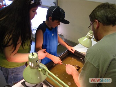 Gold Panning